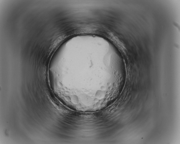 X0000097990107200804141151