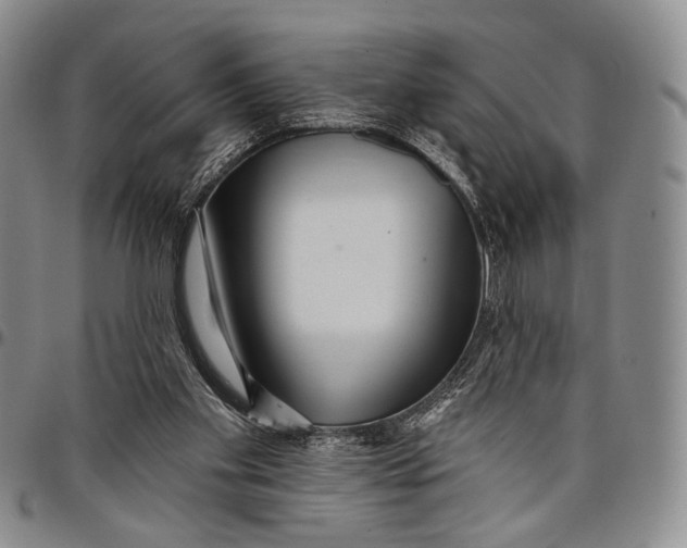 X0000097990109200804141151