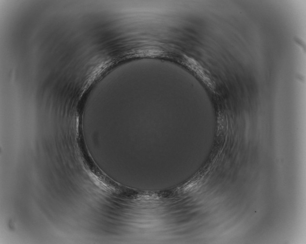 X0000097990110200804141151