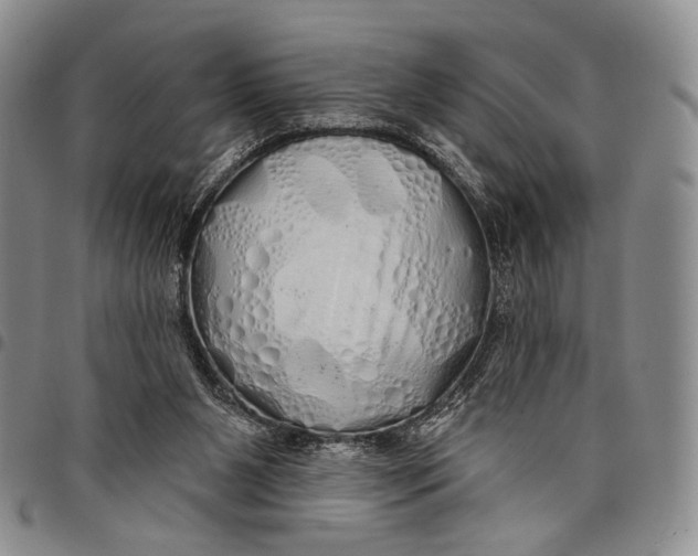 X0000097990111200804141151