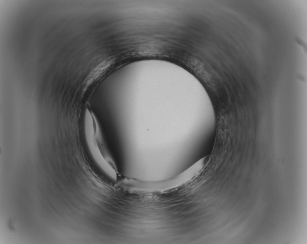 X0000097990116200804141151