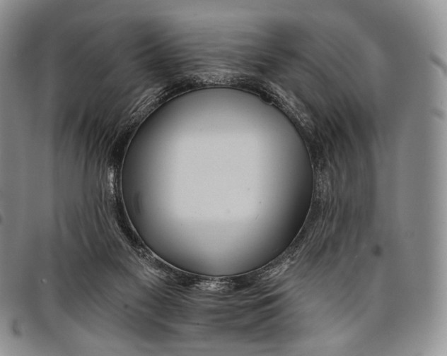 X0000097990117200804141151