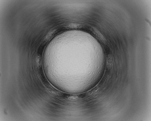 X0000097990119200804141151