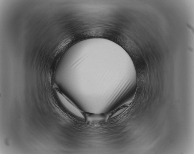 X0000097990120200804141151