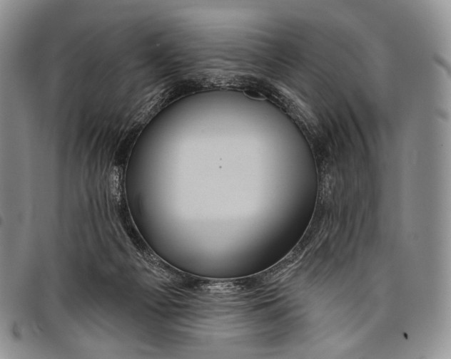 X0000097990121200804141151