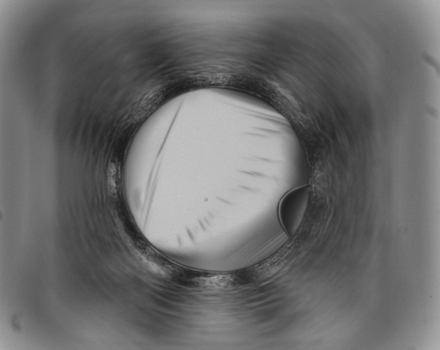 X0000097990122200804141151