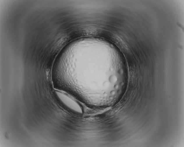 X0000097990123200804141151