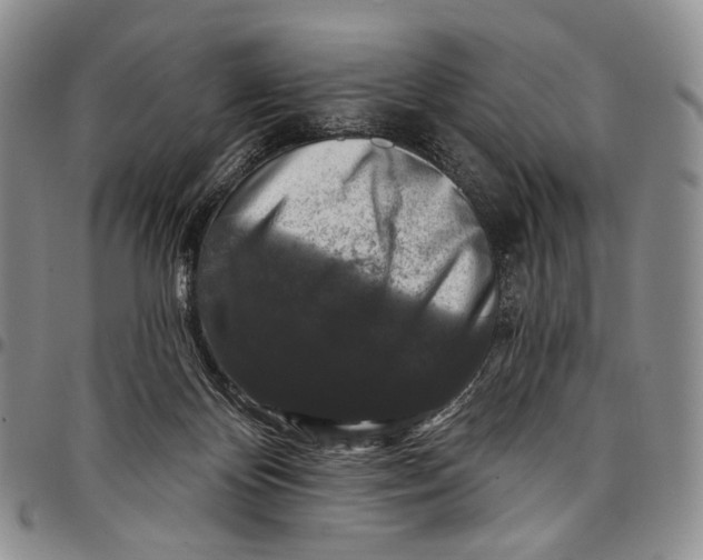 X0000097990124200804141151