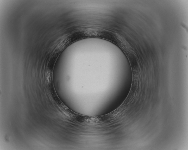 X0000097990125200804141151