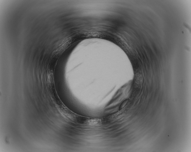 X0000097990126200804141151