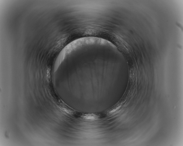 X0000097990127200804141151