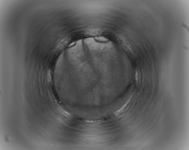 X0000097990128200804141151