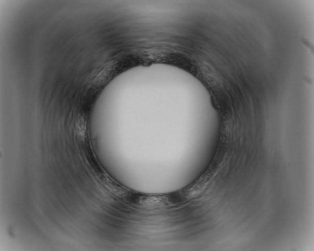 X0000097990129200804141151