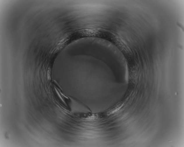 X0000097990131200804141151