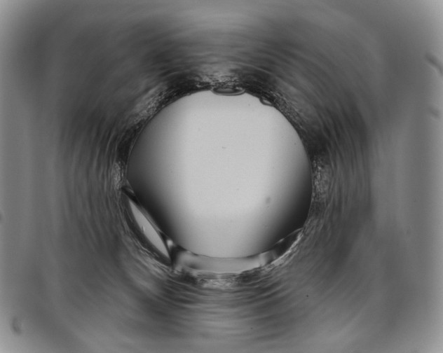 X0000097990132200804141151