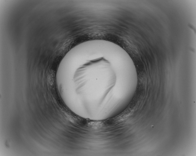 X0000097990133200804141151