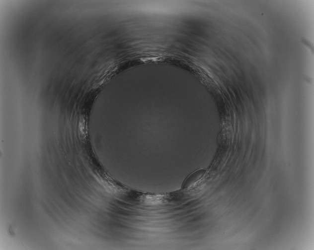 X0000097990134200804141151