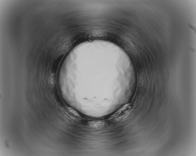 X0000097990135200804141151