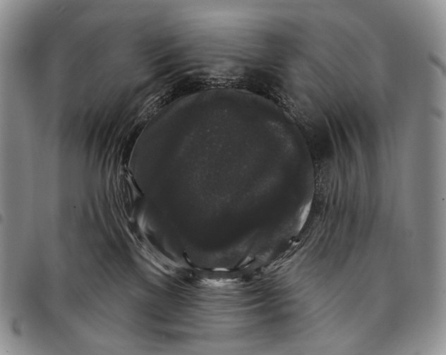 X0000097990137200804141151