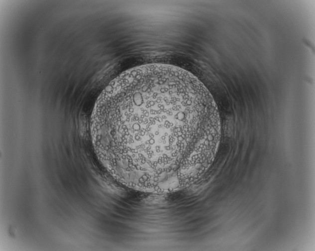 X0000097990138200804141151