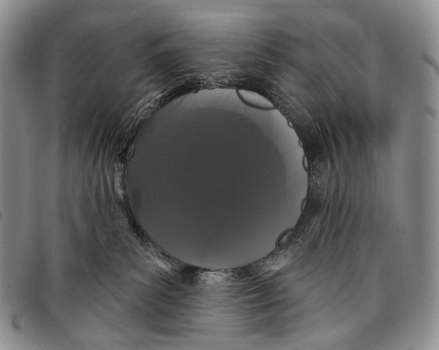 X0000097990139200804141151