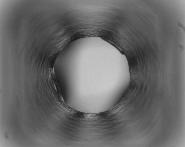 X0000097990141200804141151