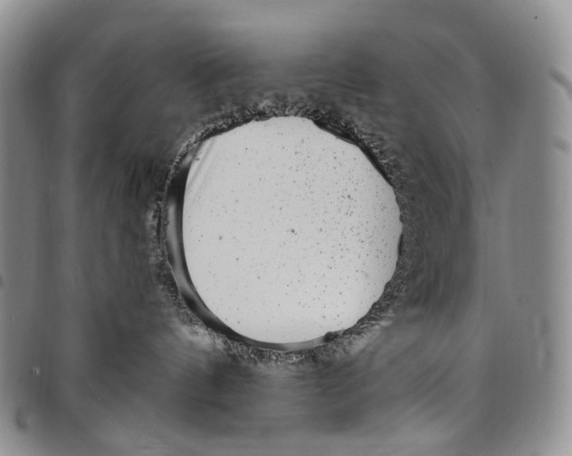 X0000097990144200804141151