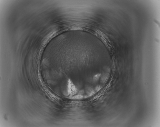 X0000097990145200804141150