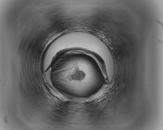 X0000097990146200804141150