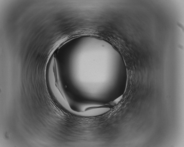 X0000097990148200804141150