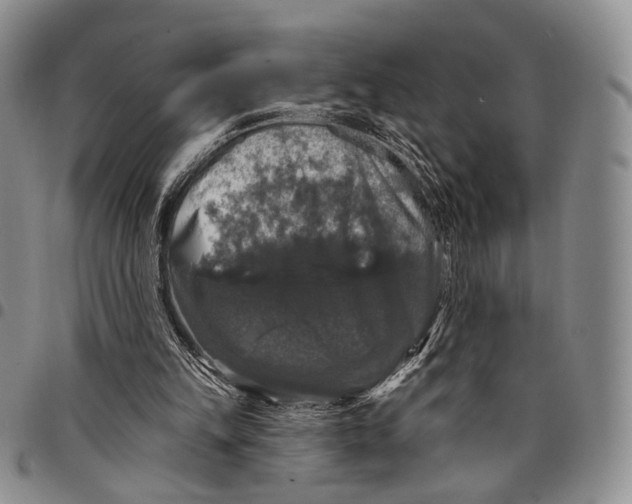 X0000097990149200804141150