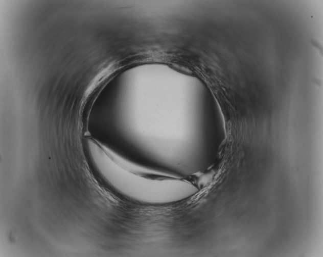 X0000097990150200804141150