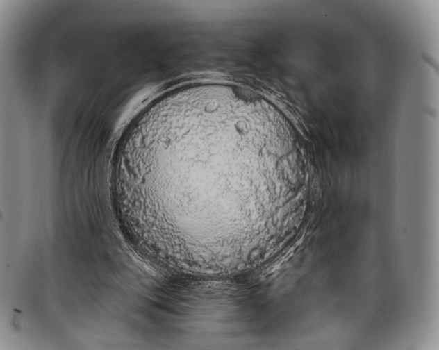 X0000097990151200804141150