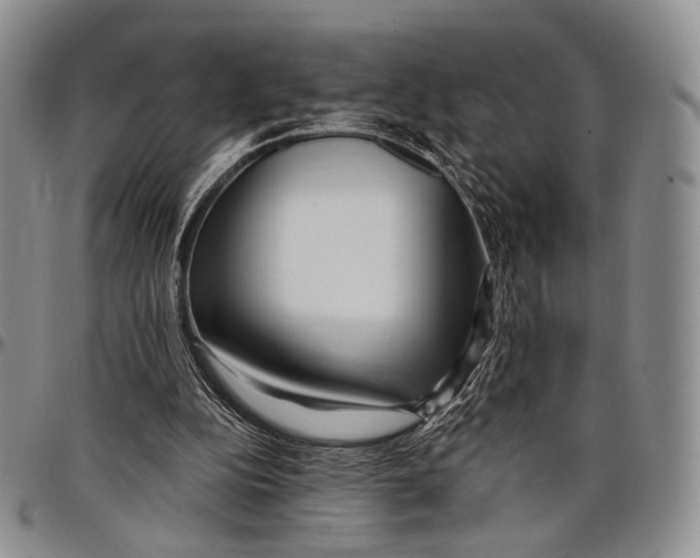 X0000097990152200804141150