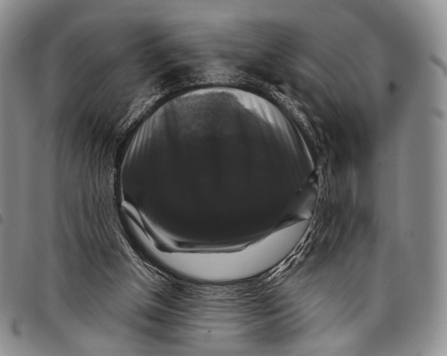 X0000097990154200804141150