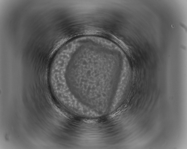 X0000097990155200804141150