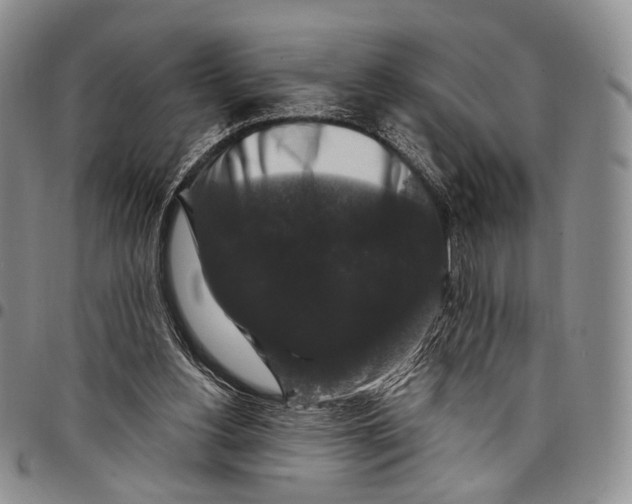 X0000097990156200804141150