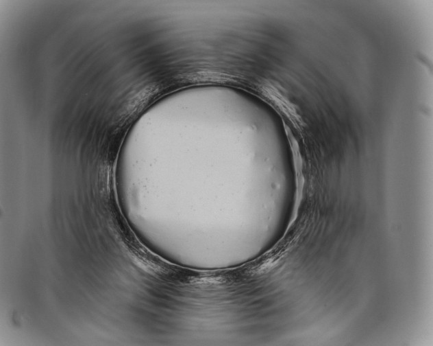 X0000097990157200804141150