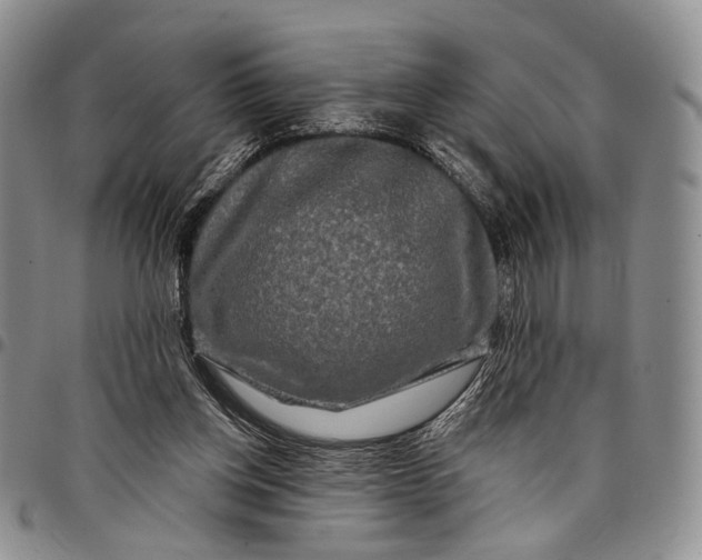 X0000097990158200804141150