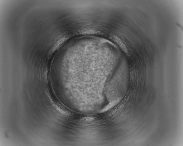 X0000097990159200804141150