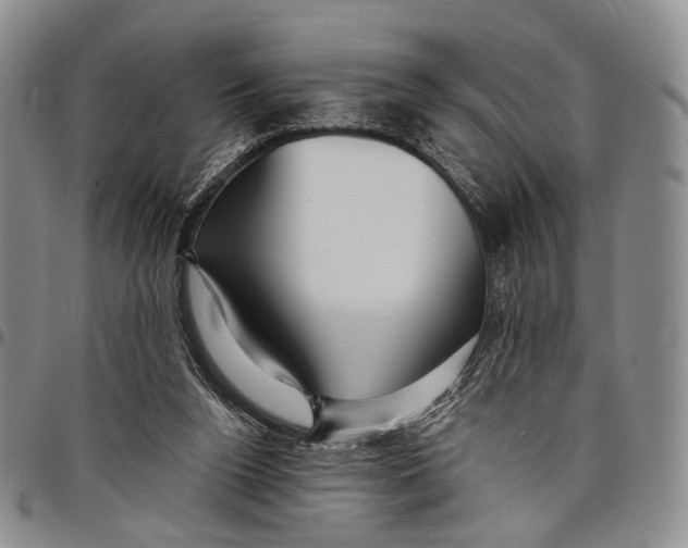 X0000097990160200804141150