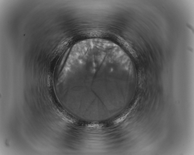 X0000097990161200804141150