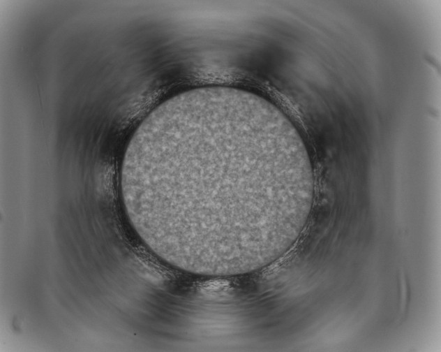 X0000097990162200804141150