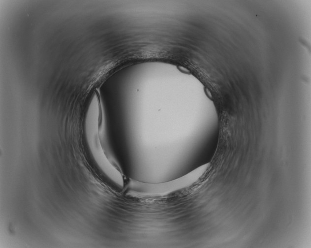 X0000097990164200804141150