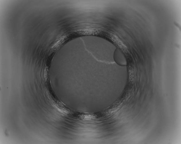 X0000097990165200804141150