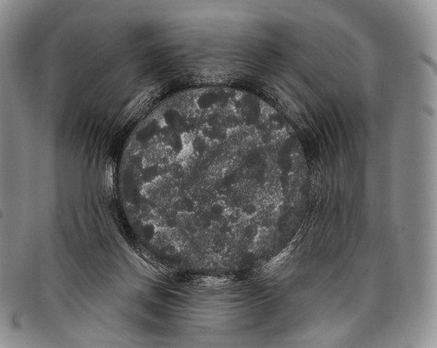 X0000097990166200804141150