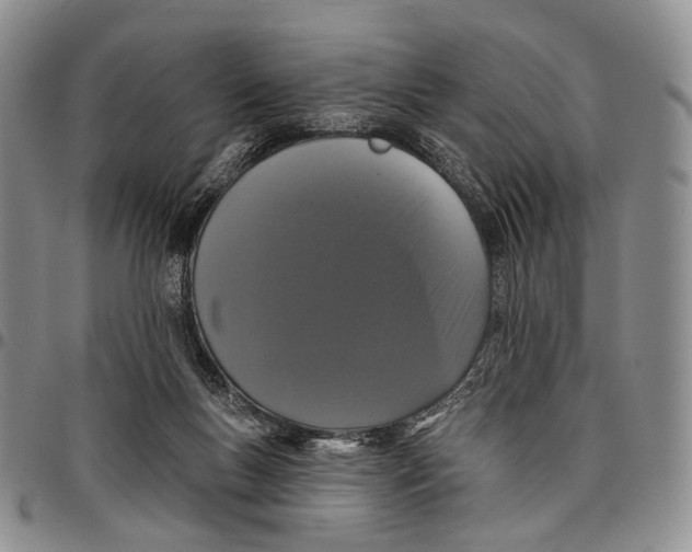 X0000097990167200804141150