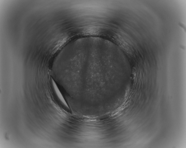 X0000097990168200804141150