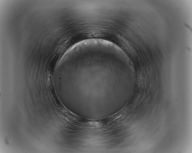 X0000097990169200804141150