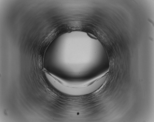 X0000097990170200804141150